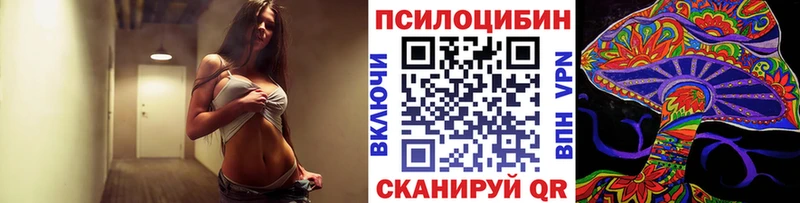 цены наркотик  Каменногорск  Псилоцибиновые грибы Psilocybine cubensis 